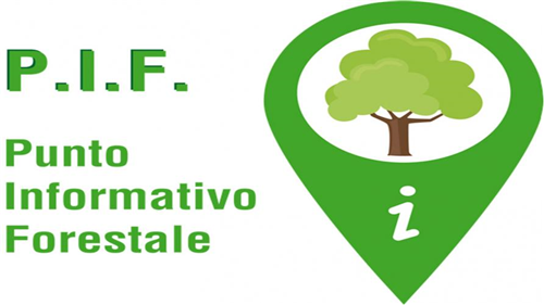 PIF secondo semestre 2026